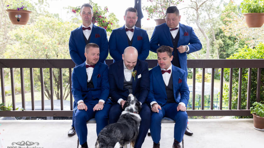 Pet Love - funny wedding photo