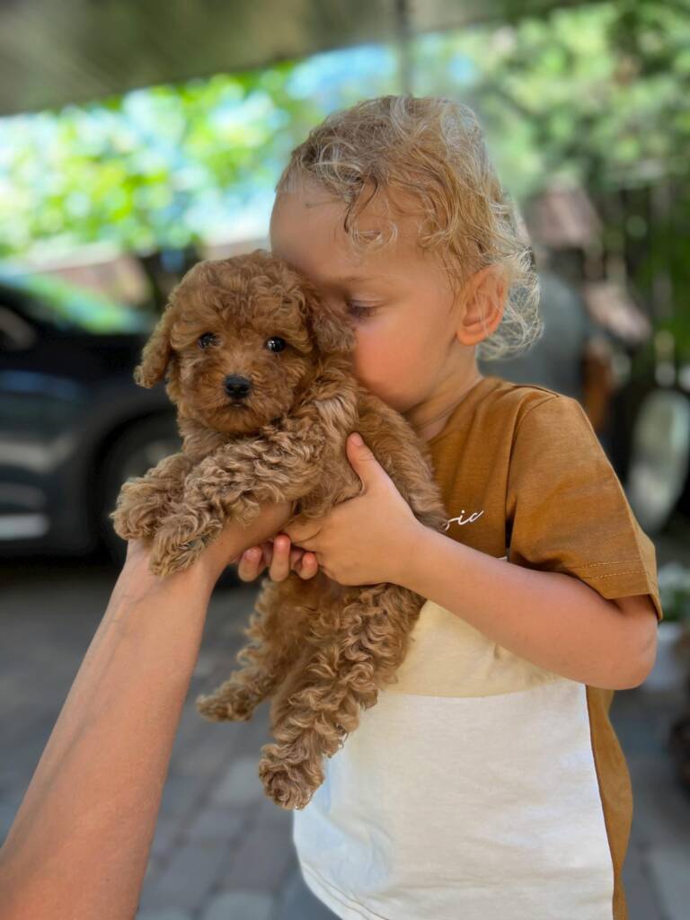 Kids with pet portrait photography ideas