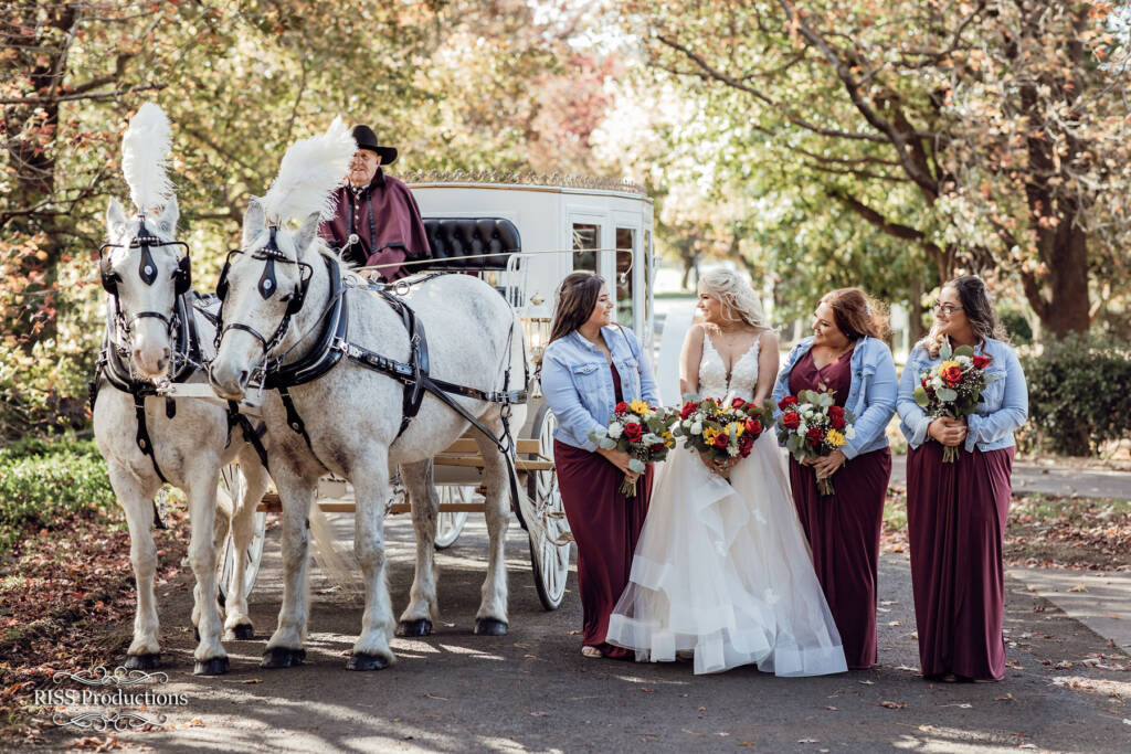 Wedding Photography Venue Milton Park Country House