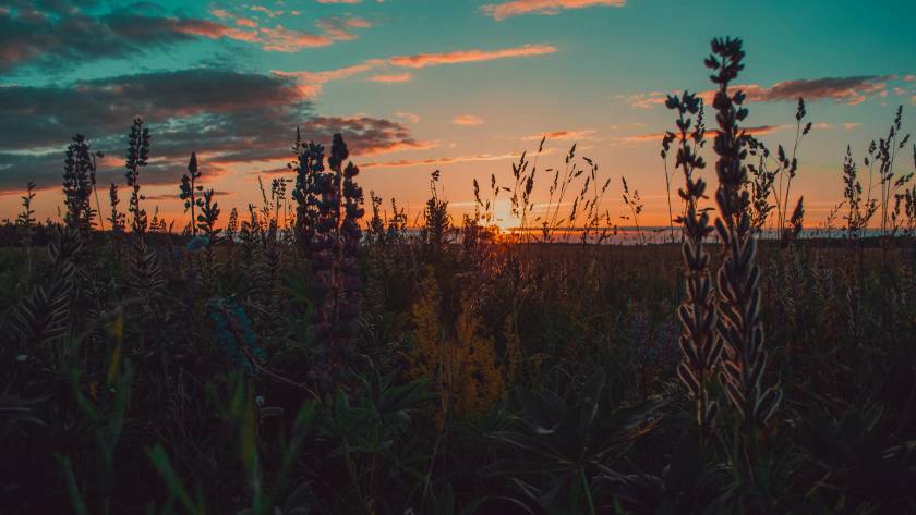 golden-hour-photography