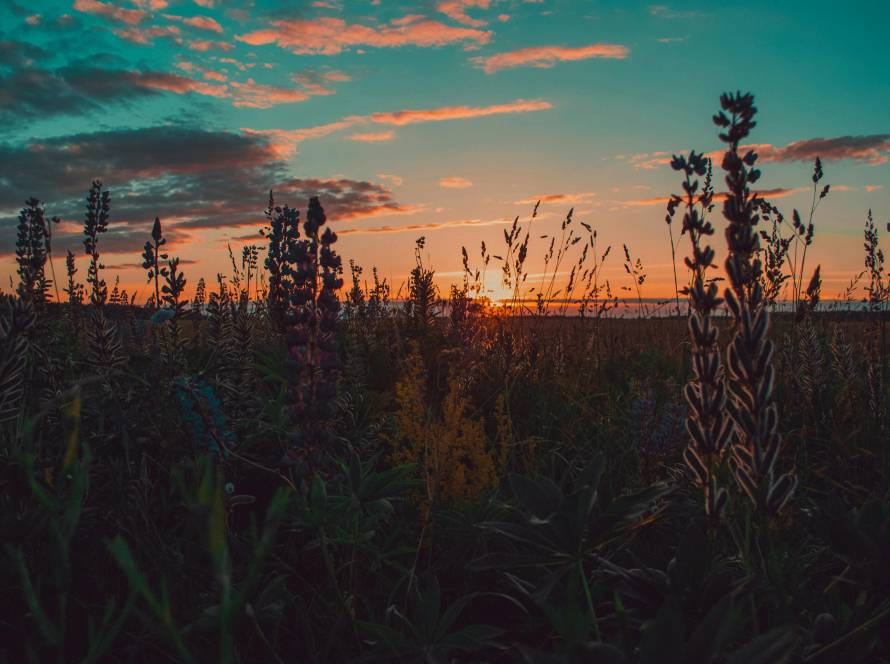 golden-hour-photography
